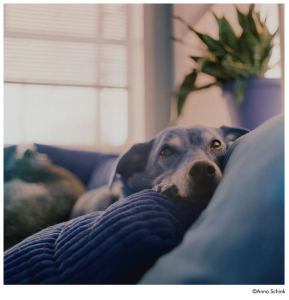 677692ac23e1949b3c924c158127b7ce